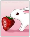 Strawberry Bunny